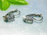 Stainless Steel Earring  - KE2183