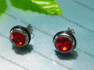 Stainless Steel Earring - KE3784