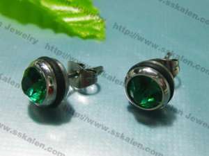 Stainless Steel Earring - KE3788