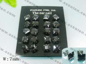 Stainless Steel Earring  - KE6497