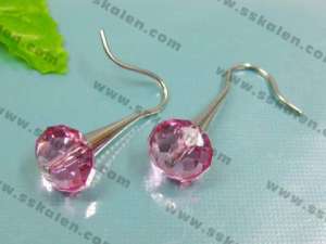 Stainless Steel Earring - KE9053