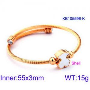 Stainless Steel Wire Bangle - KB105596-K
