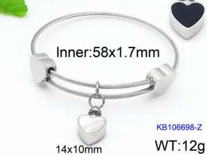 Stainless Steel Wire Bangle - KB106698-Z