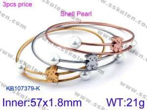 Stainless Steel Wire Bangle - KB107379-K