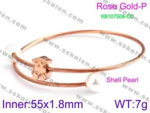 Stainless Steel Wire Bangle - KB107508-CD