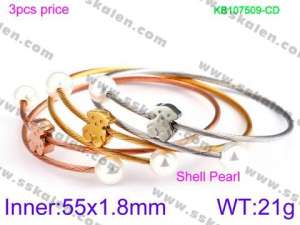 Stainless Steel Wire Bangle - KB107509-CD