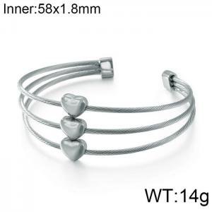 Stainless Steel Wire Bangle - KB108093-K