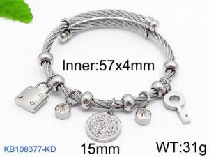 Stainless Steel Wire Bangle - KB108377-KD