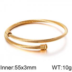 Stainless Steel Wire Bangle - KB111943-K