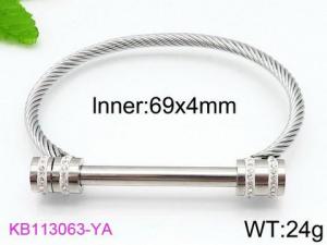 Stainless Steel Wire Bangle - KB113063-YA