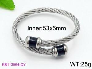 Stainless Steel Wire Bangle - KB113564-QY