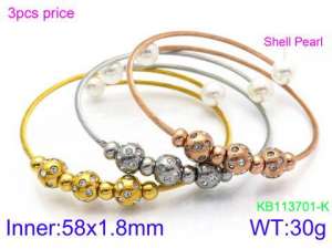 Stainless Steel Wire Bangle - KB113701-KFC