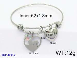 Stainless Steel Bangle - KB114433-Z