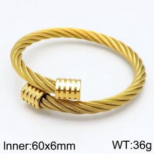 Stainless Steel Wire Bangle - KB116082-XY