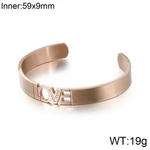 Stainless Steel Stone Bangle - KB116783-KPD