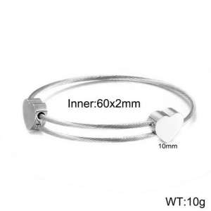 Stainless Steel Wire Bangle - KB121922-Z