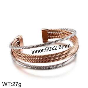 Stainless Steel Wire Bangle - KB129471-Z