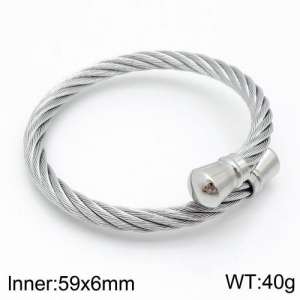 Stainless Steel Wire Bangle - KB133952-TLA
