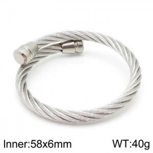 Stainless Steel Bangle - KB139136-XY