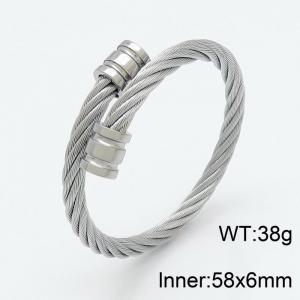 Stainless Steel Wire Bangle - KB150843-XY