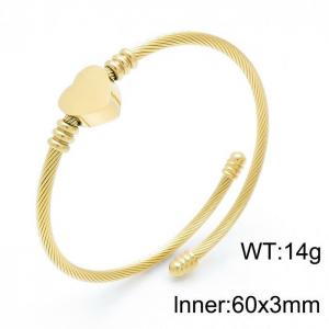 Stainless Steel Wire Bangle - KB152780-MS