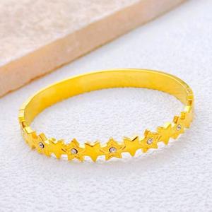 Stainless Steel Gold-plating Bangle - KB213384-SXSJ