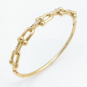 Stainless Steel Gold-plating Bangle - KB213911-SP