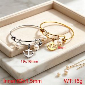 Stainless Steel Bangle - KB217356-Z