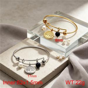 Stainless Steel Bangle - KB217357-Z