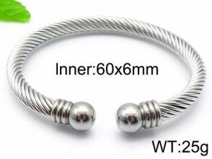 Stainless Steel Bangle - KB92891-XY