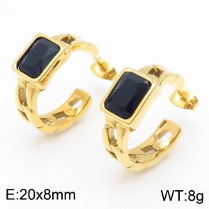 Stainless Steel Black Stone Charm Earrings Gold Color - KE111462-GC