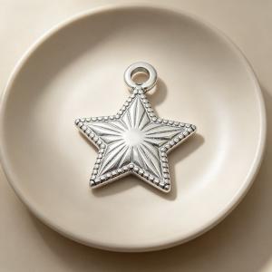 Stainless Steel Charms - KLJ8476-Z
