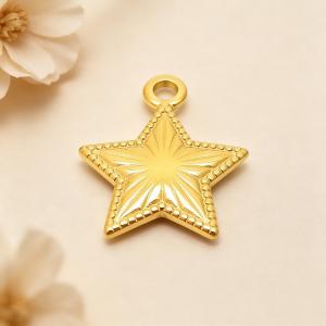Stainless Steel Charms - KLJ8477-Z