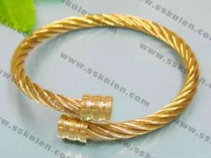 Stainless Steel Wire Bangle - KB26744-T