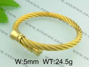 Stainless Steel Wire Bangle - KB32052-T