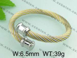 Stainless Steel Wire Bangle - KB32061-T