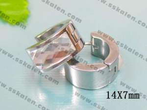 Stainless Steel Earring  - KE19140-T