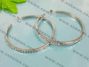 Stainless Steel Earring - KE9097